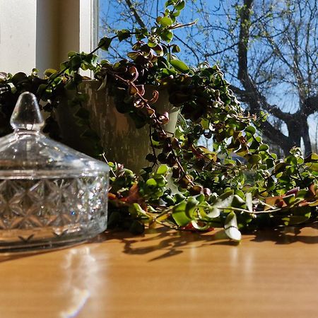 Whispering O - B&B Ermelo Speuld On The Veluwe Luaran gambar