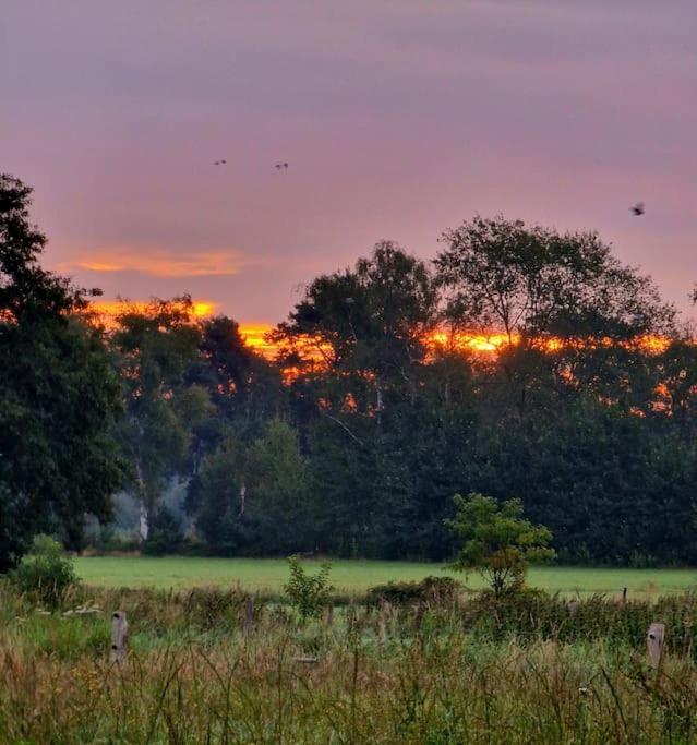 Whispering O - B&B Ermelo Speuld On The Veluwe Luaran gambar