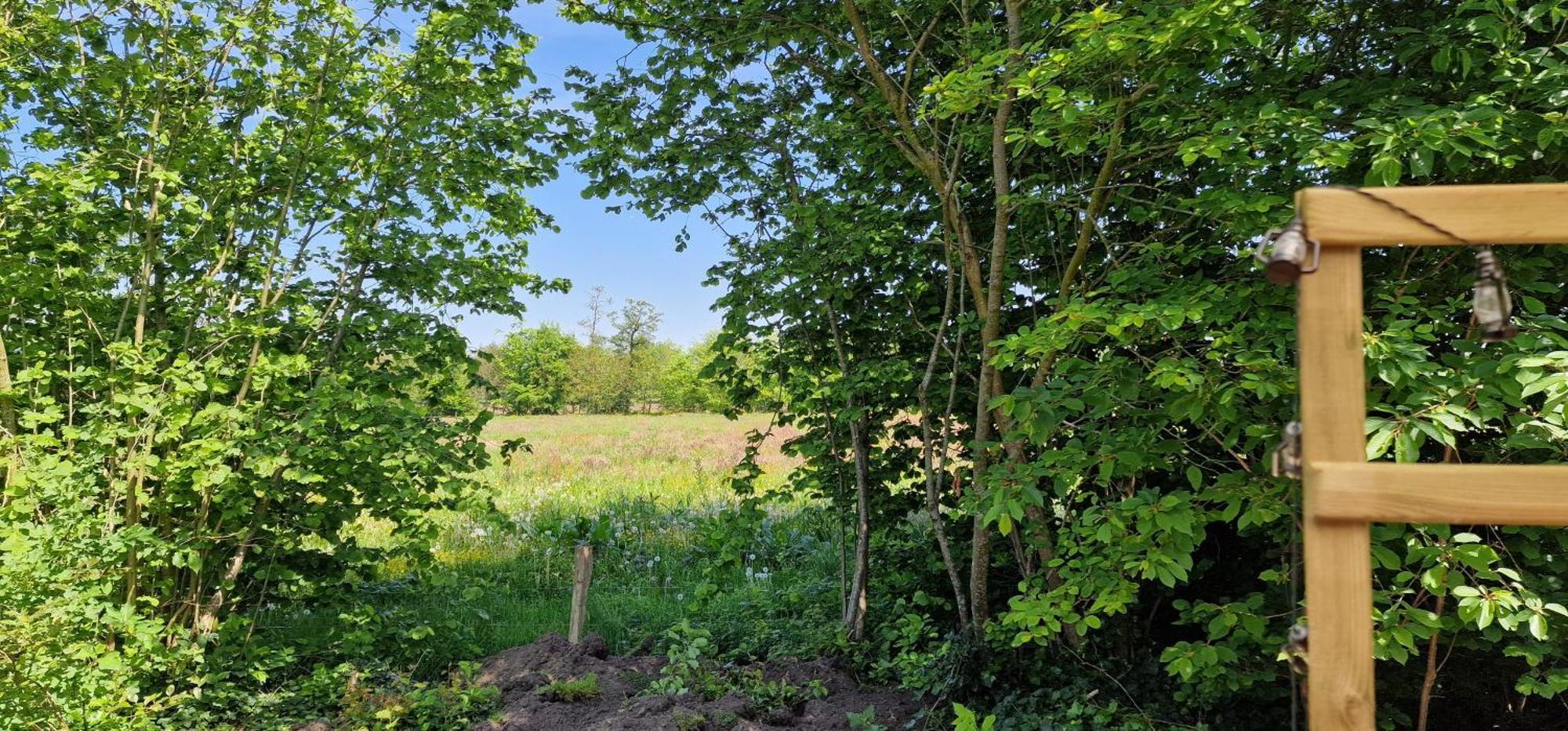 Whispering O - B&B Ermelo Speuld On The Veluwe Luaran gambar